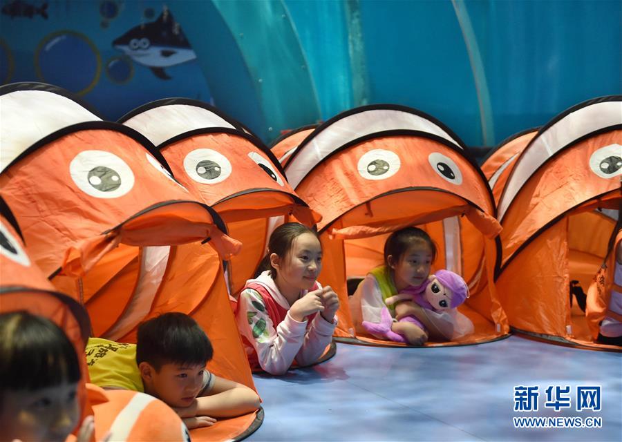 [纪实]凝固世间的生命百态