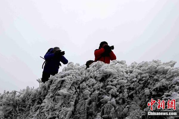 合肥土地市场“狂奔” 70多家企业抢一地_挂机宝原生IP