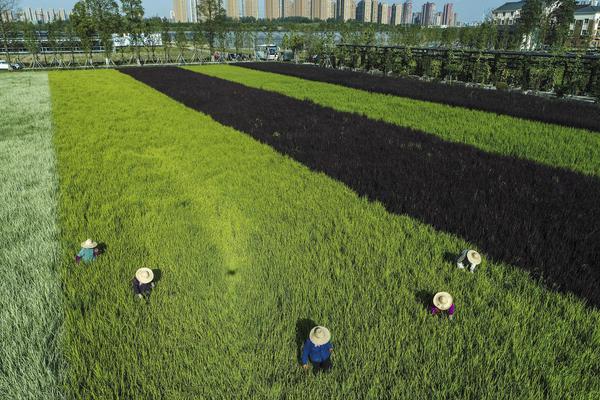云服务器的购买_挂机宝夜神模拟器