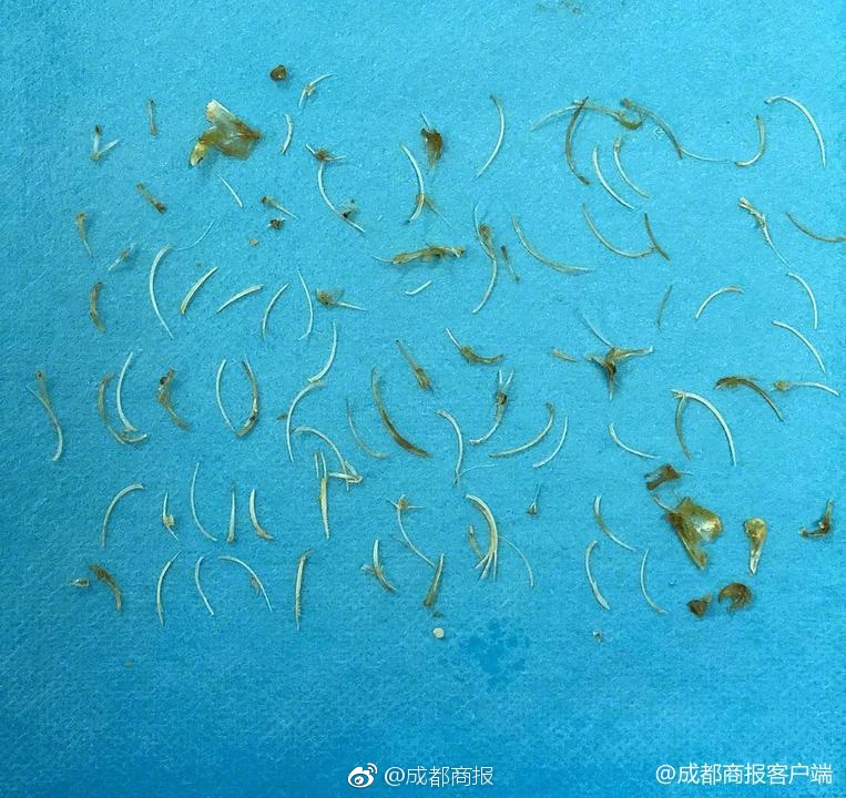 内塔尼亚胡的新起点与老套路_云模拟器