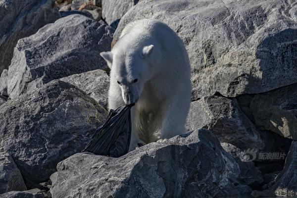 MOBI域名是什么意思_香港CN2服务器性价比