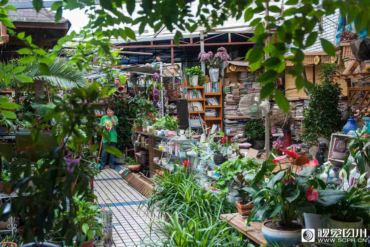 KIM域名怎么样_9929DevOps环境