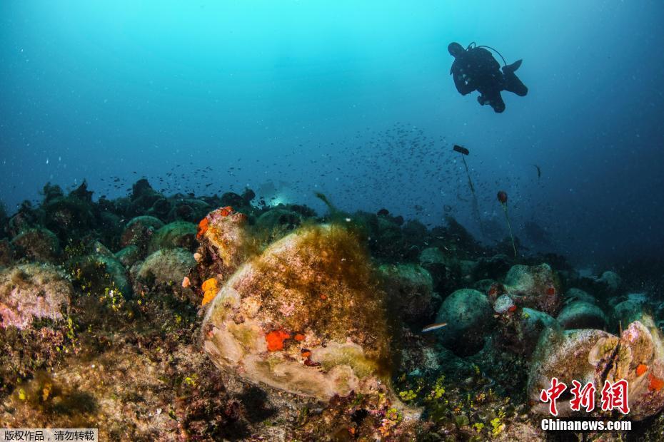 .CN域名_挂机宝编译