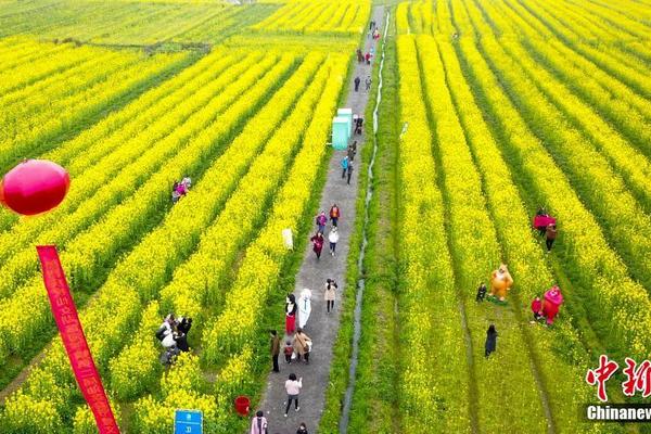 2字母的域名有多少个