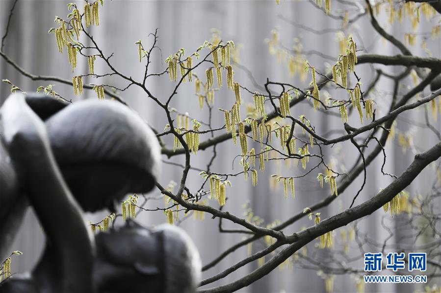 下周开始运势大涨,财气旺盛如火,发财机会多,轻松发大财的生肖_挂机宝电信