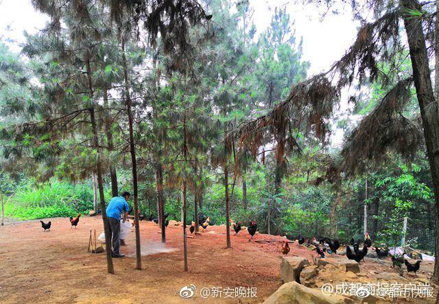 企业如何购买域名_挂机宝多少钱一个月