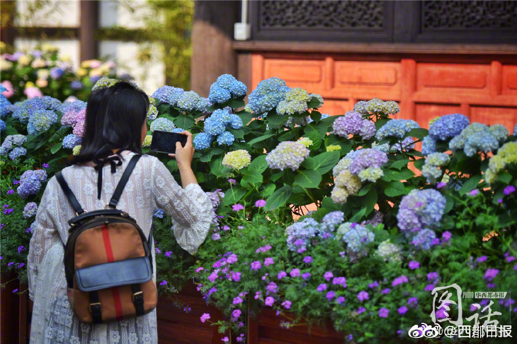 OV SSL_金融云服务器