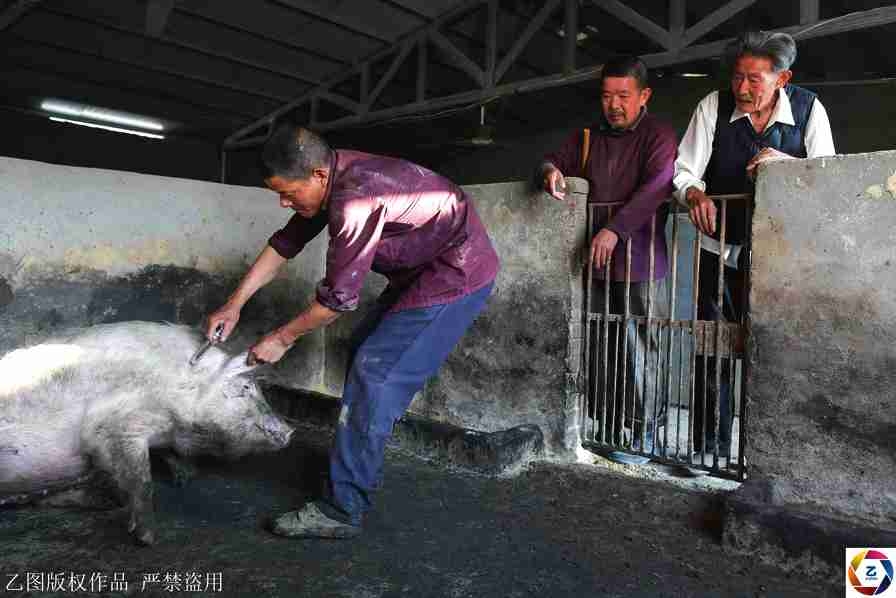 XYZ域名