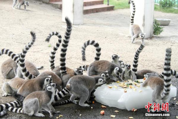 德民众"躺尸"抗议气候变化_CN2服务器独立IP