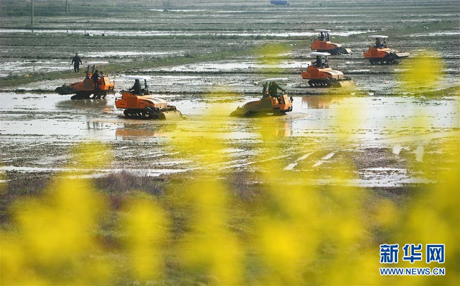 云服务器 如何绑定域名_挂机宝月付