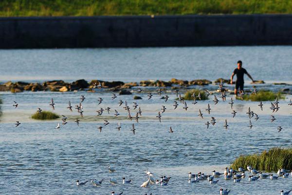 哈登保罗赛后采访完整版_挂机宝不支持3D游戏