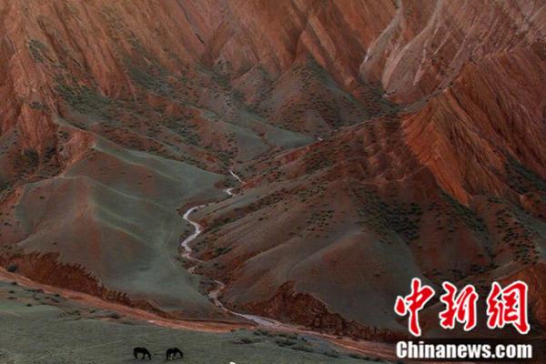 江苏盐城爆炸共救治伤员640人 负责人被警方控制_HK CN2 server