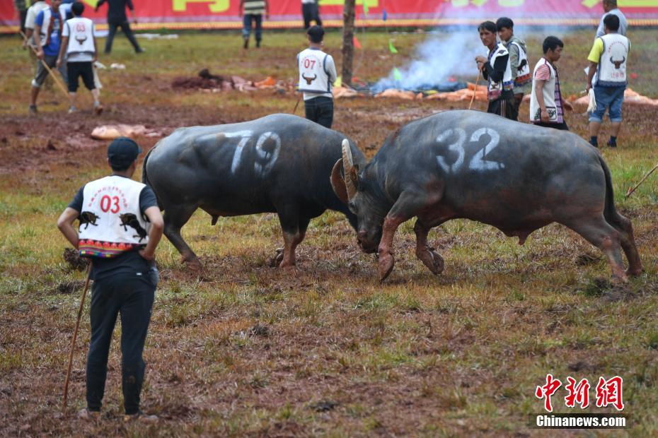 私募持股曝光:高毅新进8股 淡水泉新进中材科技_联通9929线路
