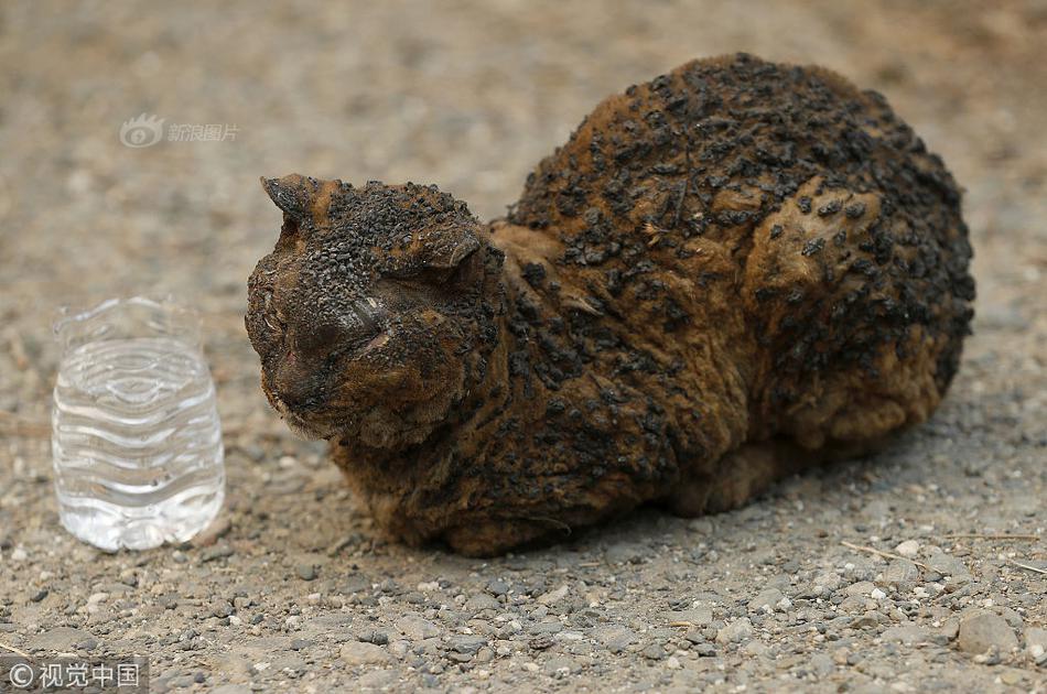 .CN域名到期怎么抢注_挂机宝解锁Netflix
