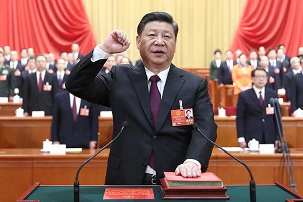 五一带着宠物去旅行 羡慕死动物界旅游达人