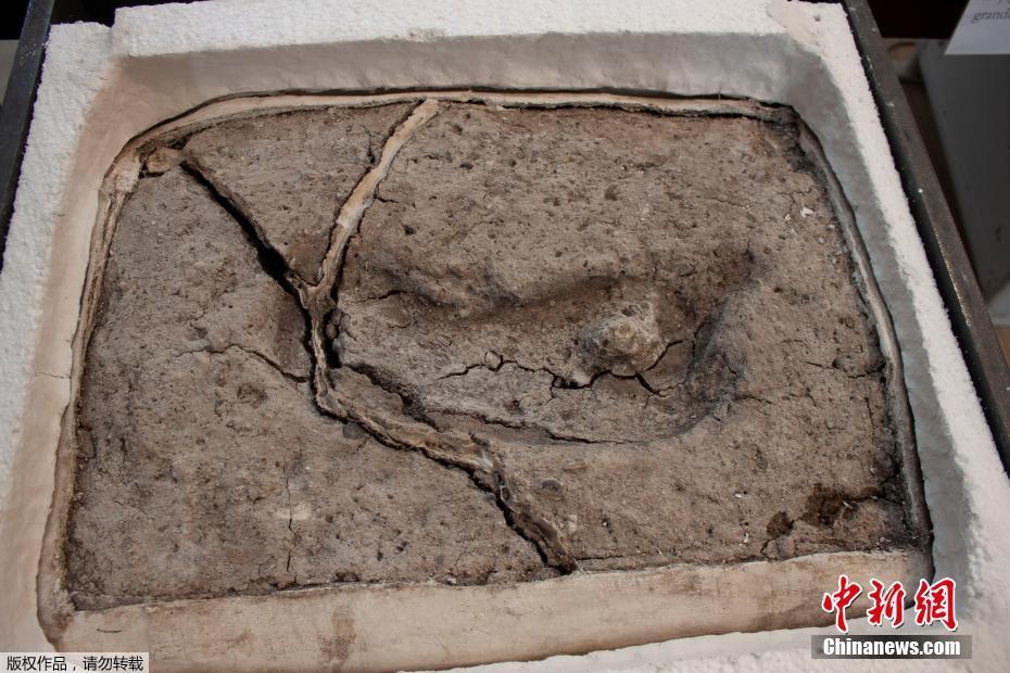 美军测试定向能武器 击落数架无人机_9929速度快