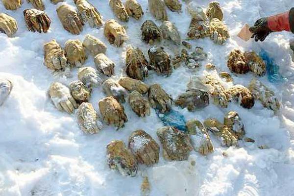 .COM域名多少钱一年_9929免备案