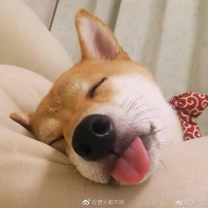 欧冠-阿贾克斯闪击客胜热刺_云服务器竞价实例