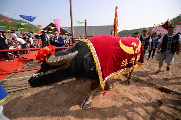 多城掀起“人才争夺战” 房地产市场格局难变