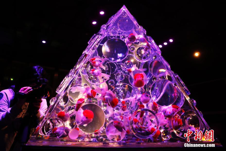 日本建筑师自称宋朝摄影师?_9929移动用户