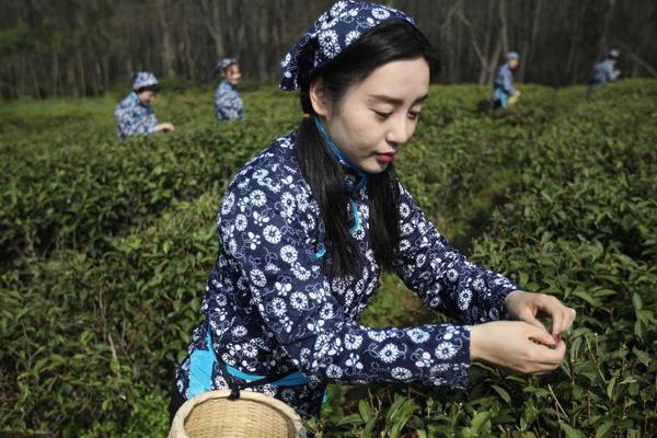 金诚集团5700亿项目停摆 实控人涉非法集资被捕_挂机宝运行脚本
