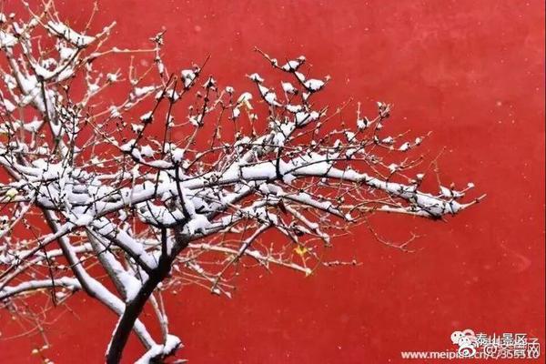 RED域名怎么备案的_移动云服务器
