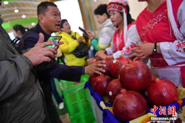 一个网站可以绑定多少个域名_赞奇云工作站