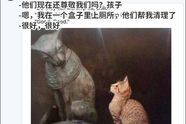SQL_云电脑多少钱一个月