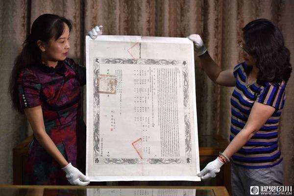 旧金山移民局档案,民国初期华裔护照_9929带宽推荐