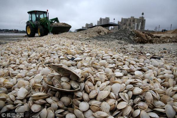 体育管理部门“不惜代价”敲定里皮_云电脑协议