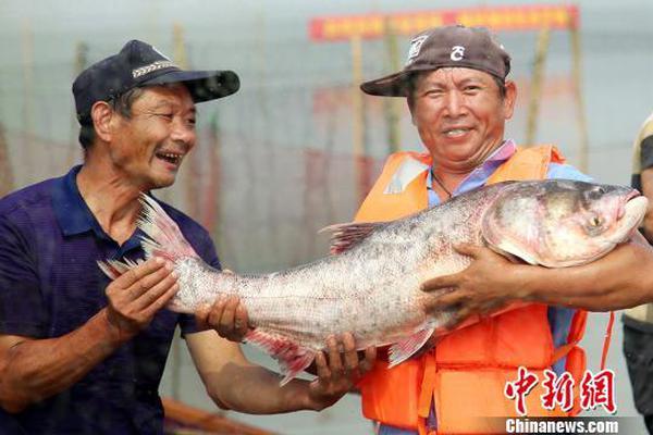 面对难民的情怀与现实_武汉云服务器