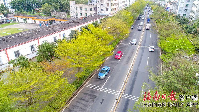 为救患肝癌姐姐 42岁妹妹把一半肝给了她_云服务器2核8G