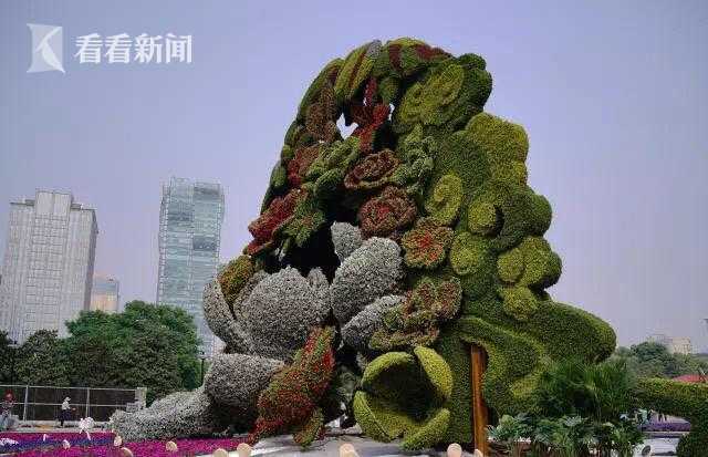 国民初恋颜?她这是要复制沈月的走红奇迹了?_CN2 CRM服务器