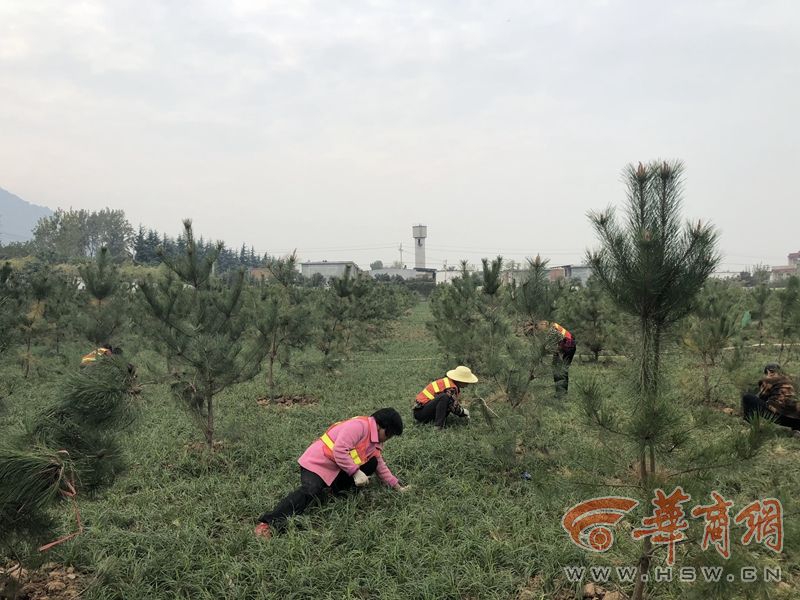 德帅:不会受第一场比赛影响 福斯特是最佳裁判之一_云电脑创业团队