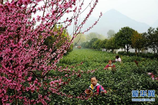 张庭儿子拼装积木 认真的样子超有范儿