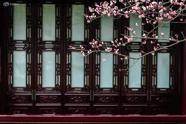 专家谈假HPV疫苗:给网红疫苗降温