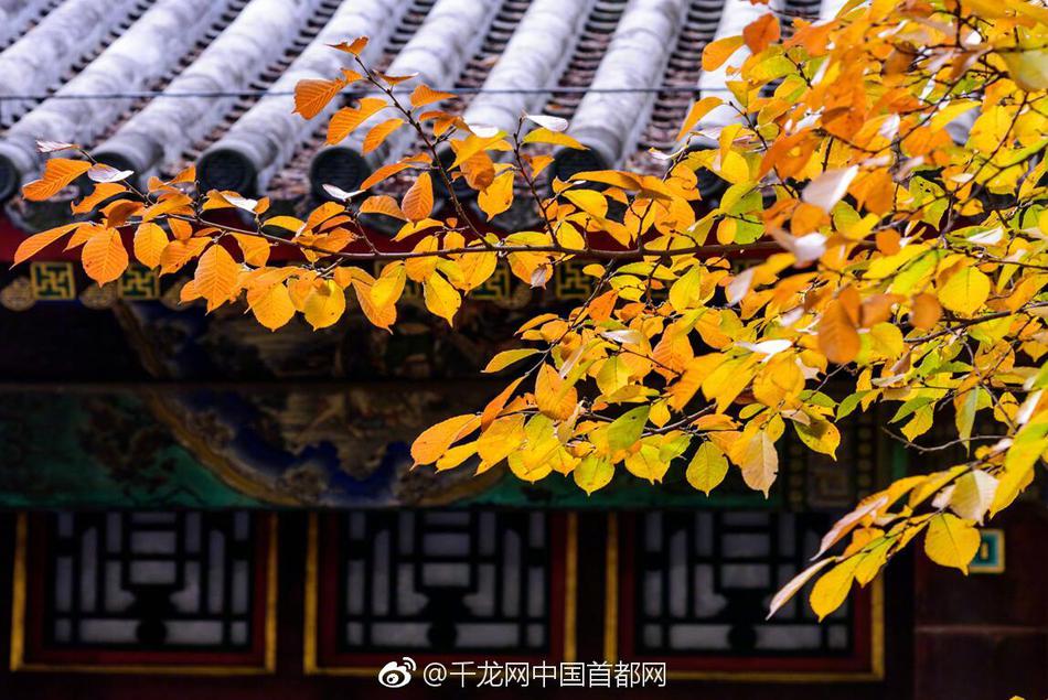 企业邮箱哪家比较好_云服务器8核16G