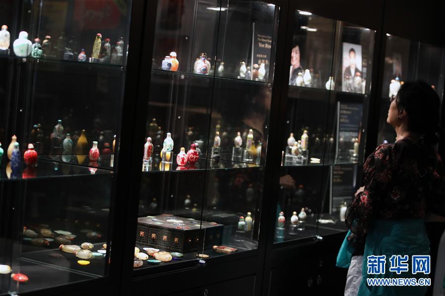 《神奇乐园历险记》收获好口碑 合家欢冒险动画获亲子观众青睐_CN2服务器独立IP