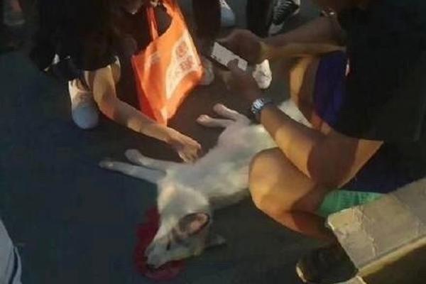《巨匠》“匠情”版预告_挂机宝代理