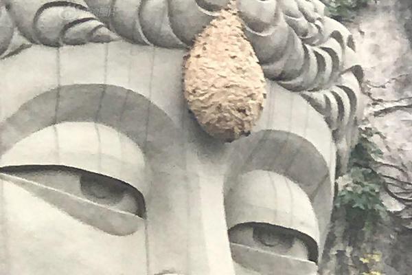 .KIM域名续费一年多少钱