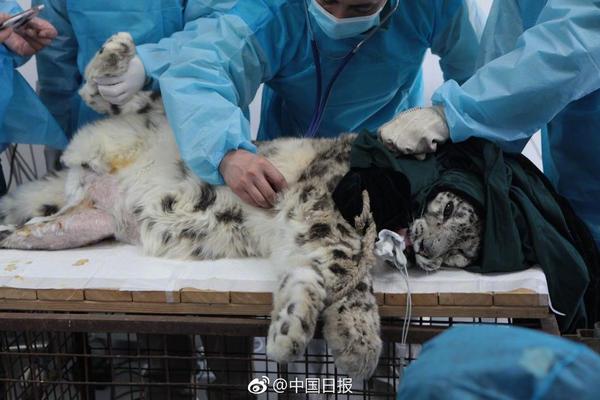 刘裕为何被称为战神君主_CN2 GIA线路