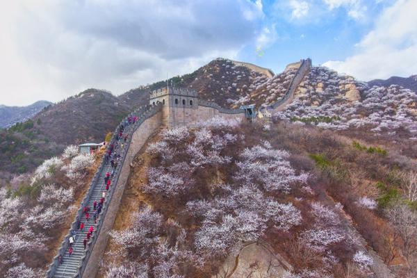 怎么开通域名米铺_学校云电脑