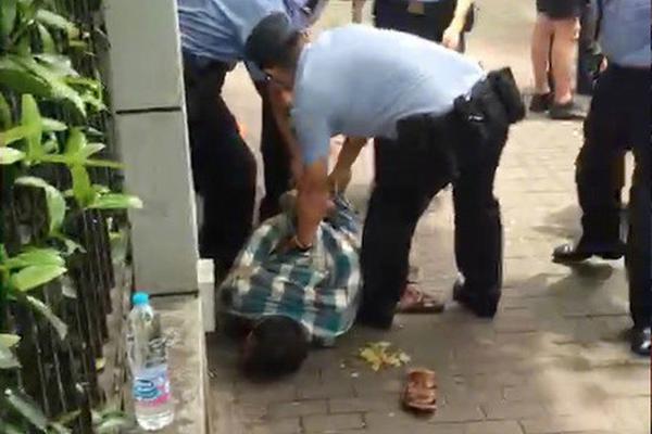 企鹅蛋为何不结冰?帝企鹅爸爸已经进化成