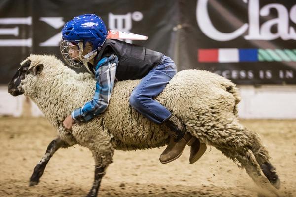 哪里申请域名签约店铺_9929大带宽