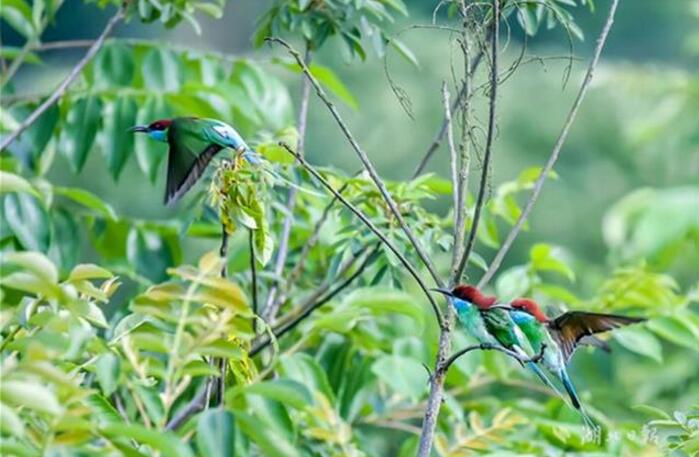 3月买车季，新浪汽车新车7.4折起！_倚天云服务器