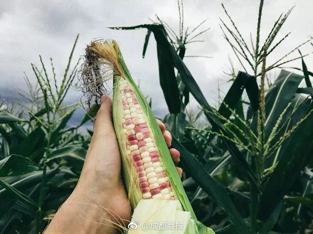 企业邮箱怎么改密码