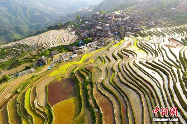入华15年,中国今年或将成为宝格丽全球最大市场