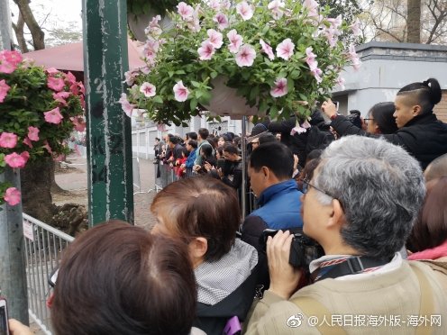 5G到底能带来多少性能提升_9929速度快