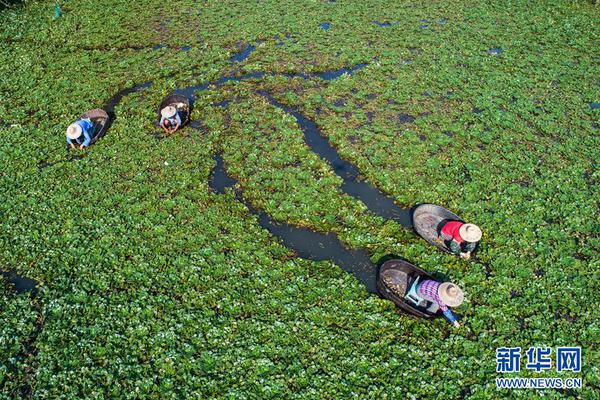 4位纯数字域名值多少钱_武汉云服务器