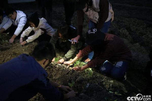 “爸、弟,我承担不起你们的人生”原生家庭问题,该如何妥善解决_10元挂机宝